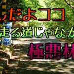 モトブログ #0216 転倒不可避！極悪林道【GSX-R1000R】