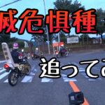 モトブログ #0219 珍走団がいたからちょっとだけ追走【GSX-R1000R】