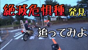 モトブログ #0219 珍走団がいたからちょっとだけ追走【GSX-R1000R】