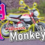 【納車】モンキー125に乗り換えました♪【モンキー125】【モトブログ】