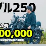 【モトブログ】20万円を注ぎ込んだレブル250のカスタムをご紹介！