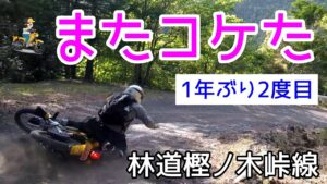 モトブログ＃67【クロスカブとモンキーで行く林道ツーリング】またコケました（1年ぶり2度目w）