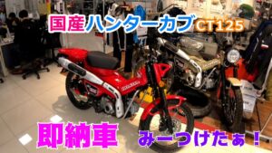 【モトブログ】国産 HONDA ハンターカブ CT125 即納車みーつけた