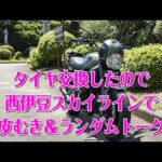 [モトブログ] タイヤ交換したので西伊豆スカイラインで皮むき！＆ランダムトーク [Motovlog]Kawasaki Z900RS GOPRO HERO8