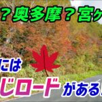 【モトブログ】千葉のバイクの聖地！もみじロード【Ninja400】