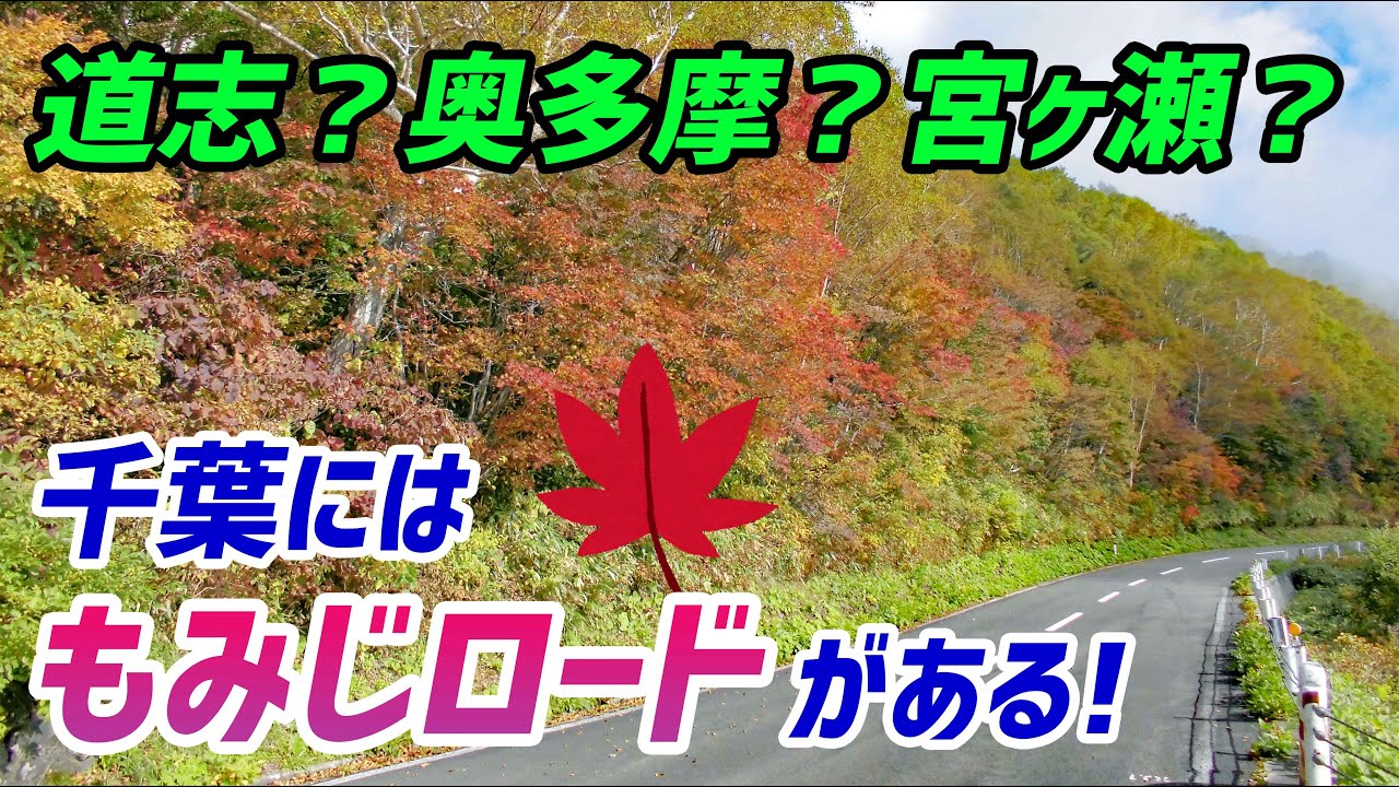 【モトブログ】千葉のバイクの聖地！もみじロード【Ninja400】