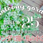 SUBガーデニングブログ/おしゃれな小さな庭を目指して/私の小さな夢/初心者の庭造り/ベランダガーデニング/a small dream in a Japan balcony garden