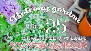 SUBガーデニングブログ/おしゃれな小さな庭を目指して/私の小さな夢/初心者の庭造り/ベランダガーデニング/a small dream in a Japan balcony garden