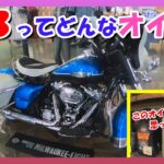 【モトブログ】SYN3オイルについて聞いてみよう‼️ハーレーダビットソン須磨さんにお邪魔します♬【つーりんぐ部/Vol.60】