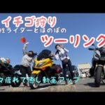ほのぼの苺狩りツーリング【モトブログ】cbr600rr. TMAX. X-ADV