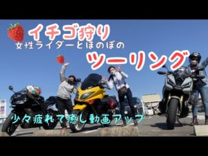 ほのぼの苺狩りツーリング【モトブログ】cbr600rr. TMAX. X-ADV