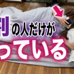 【本当はすごい】アマゾンセラーアプリを使ったリサーチ方法【せどり】