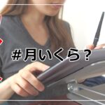 私の副業/月の収入/不妊治療費