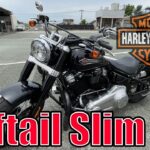 【試乗】憧れのハーレーダビッドソン‼ソフテイルスリム乗ってみた！【モトブログ】