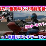 【モトブログ】いくぜ！！大阪で1番美味しい海鮮定食のお店♬ ※サトゥーシ談【つーりんぐ部/Vol.65】