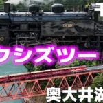 [モトブログ] オクシズツーリング #2 奥大井湖上駅と千頭駅のSL 井川ダム [Motovlog]Kawasaki Z900RS NINJA1000SX GOPRO HERO8