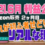 2021.6月の副業せどりの利益、結果公開！これがリアルな実情。Amazon販売をはじめて2ヶ月、楽天ポイントせどり、店舗せどりなど今から副業せどりを始める方におすすめ【リベ大両学長おすすめ副業】