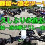 [モトブログ] 山梨 都留～道志ツーリング #3 久しぶりの道志みち 県道24号 都留道志線 道坂峠 [Motovlog]Kawasaki Z900RS XSR900 GOPRO HERO8
