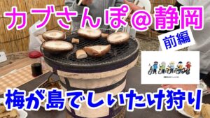 モトブログ＃68【おばさんツーリング部】＜前編＞カプ散歩＠静岡：梅が島でしいたけ狩り