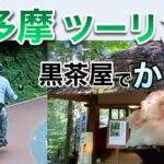 【バイク女子】7月上旬の奥多摩ツーリング！黒茶屋でかき氷(๑´ڡ`๑) ☆レブル☆Rebel250☆モトブログ☆女性ライダー☆ハーレー☆