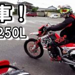 CRF250L!納車おめでとう林道/ ホーネット250DX・CRF250L・DEMON150GR【モトブログ】