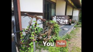 ハーレー ショベル モトブログ Free Run Chopper #ハーレー