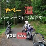 ハーレー モトブログ 久しぶり Free Run Chopper ②