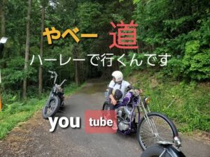 ハーレー モトブログ 久しぶり Free Run Chopper ②