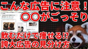 【アフィリエイト広告】飲むだけで痩せる！毛穴の汚れがごっそり！毛が生える！←これ全部アウト【日本広告審査機構（JARO）】