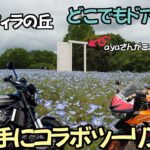 【モトブログ】ぼっちツーリングが一転楽しいツーリグに？SNSで繋がるツーリング。こう言うのも悪くない『チビ女の大冒険』ayaさんと楽しく休日を過ごさせていただきました。【バイク女子】まめちゃんねる