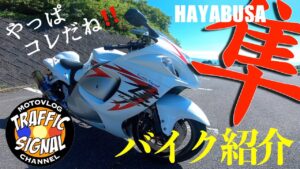 【TS Motovlog #131】GSX1300R HAYABUSA バイク紹介【モトブログ】