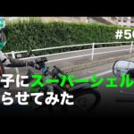 息子をスーパーシェルパに乗せてみた / motovlog #502 【モトブログ】