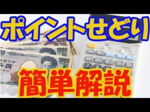 【超初心者向け】ポイントせどりとは何？解説していくよ