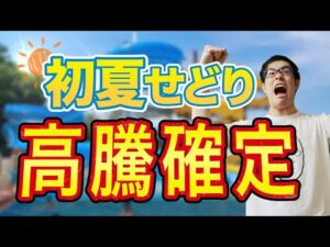 【せどり】この夏高騰間違いなしの商品３選！利益出して良い夏過ごそう【せどり初心者】