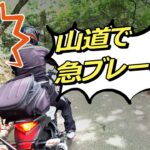 「酷道モトブログ」山道で急ブレーキした理由