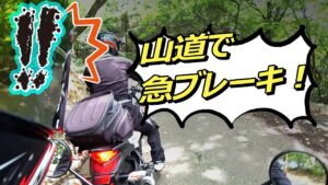 「酷道モトブログ」山道で急ブレーキした理由