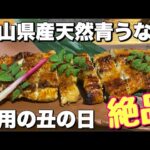 【土用の丑の日】岡山県産天然青うなぎ！旨過ぎる…こんなうなぎ！たかみさん！岡山冒険の書！倉敷ふく杉！