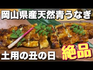 【土用の丑の日】岡山県産天然青うなぎ！旨過ぎる…こんなうなぎ！たかみさん！岡山冒険の書！倉敷ふく杉！