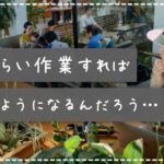 どれくらい作業をすればアフィリエイトで結果がでますか？