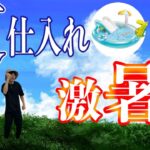 【誰にでもチャンスあり】真夏の激アツ仕入れ【せどり】