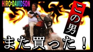 【モトブログ　２００】ハーレーまた買ってもーた。。