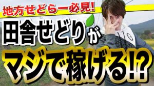 せどり 田舎と都会、どちらの店舗が仕入れしやすい？稼ぎやすいか徹底解説