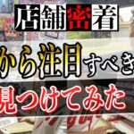 【せどり1日密着】今後注目すべき商品を色々紹介してみた