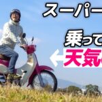 天気の子スーパーカブ乗ってみた！【モトブログ】ホンダ スーパーカブ110(JA44)試乗！HONDA Super Cub110 "Weathering With You" Edition