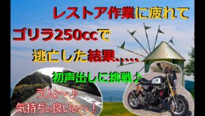 モトブログ　[ゴリラ250cc] レストア作業に疲れてゴリラ250ccとハーレーで逃げ出した結果......