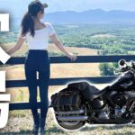 【トトロ好き必見】北海道に現れた超巨大猫バス！！【女性ライダーモトブログ】