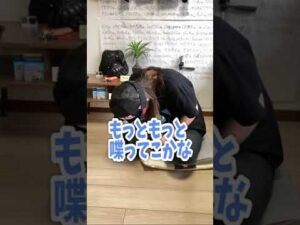 【バイク女子】#Shorts【妹コタミンの美尻の秘訣】