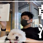 【VLOG】副業/朝活サラリーマンの平日ルーティン