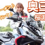 【X-ADV•グルメ】バイクで愛知奥三河ツーリング！桜淵公園と道の駅でししラーメン（もっくる新城/つくで手作り村）