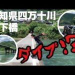 【 ツーリング 】高知県四万十川の沈下橋へ 【 モトブログ 】  Z900RS S1000 MT09 バイク